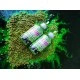 Флюро-бустер Fun Fishing Fluo Booster Hemp & Bun Spice Конопля/Специи 185мл.