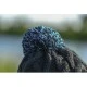 Вязаная шапка с помпоном Preston Knitted Bobble