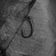 Крючки Partridge Specimen Curved Shank Hook